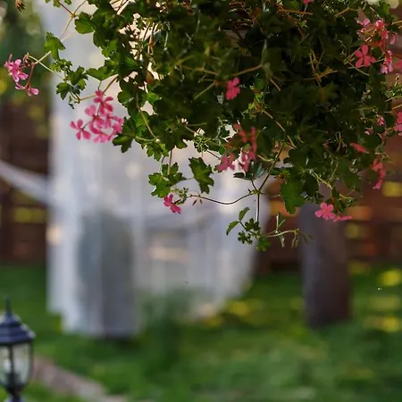 Holiday home Rose Belogradchik