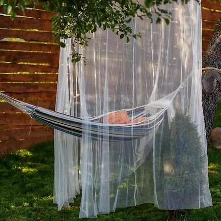 Rose Semesterbostad Belogradtjik